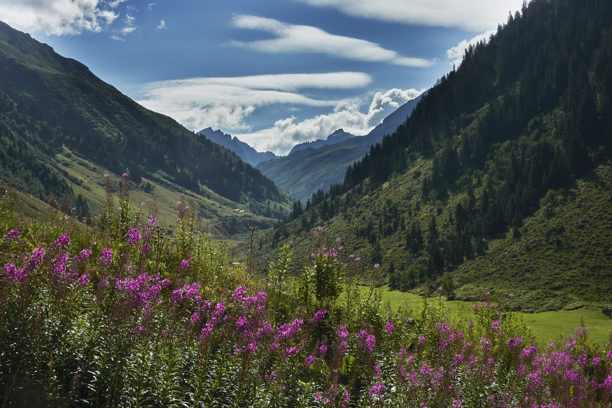 Beautiful mountain hideaway in Klosters